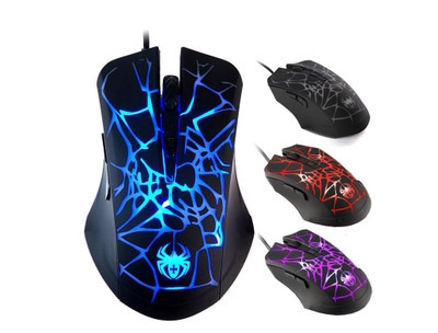 ������������ ��Ϸ��� ��ɫ����